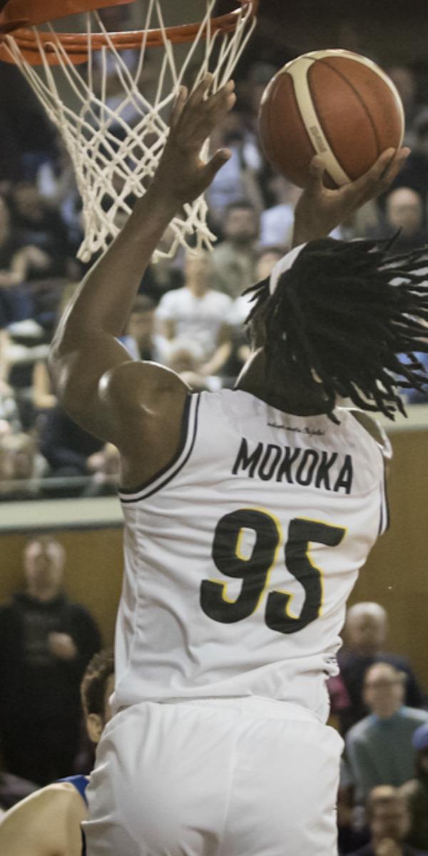 imagine card galerie