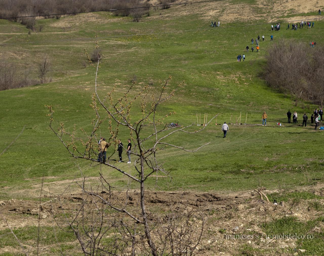 imagine card galerie